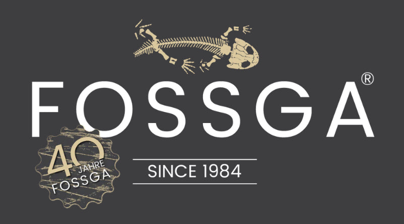 Ständer zur Präsentation Ihres Fossils "Mittel"