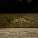 Ichthyosaurus sp. Jungtier aus dem Jura von Holzmaden
