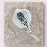 Rochen Stingray aus dem Eozän