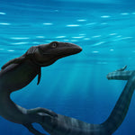 Pleurosaurus aus dem Jura von Solnhofen