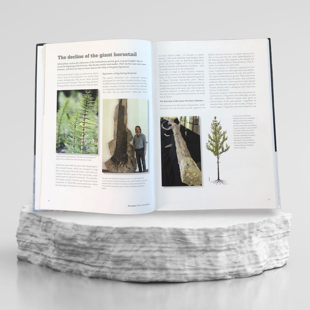 Book PERMIAN Birth of a New World "Ausgabe Englisch"