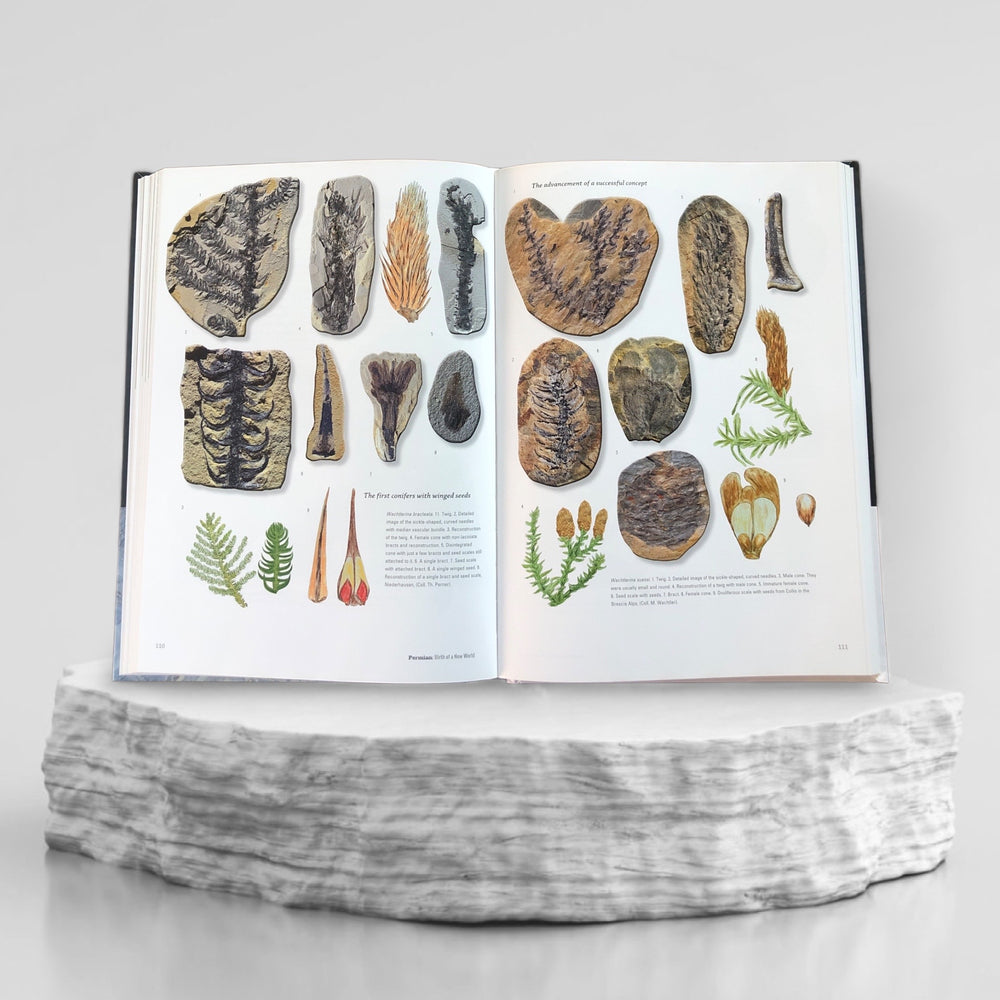 Book PERMIAN Birth of a New World "Ausgabe Englisch"