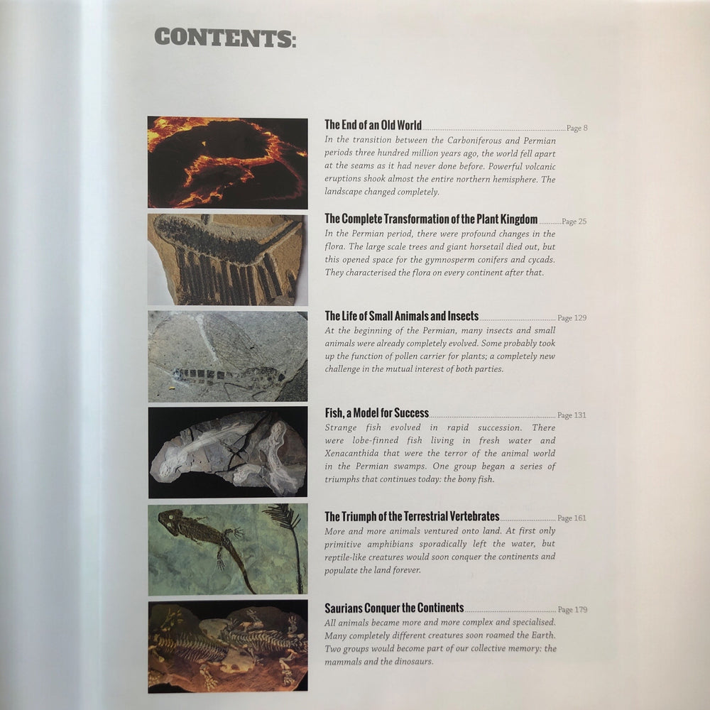 Book PERMIAN Birth of a New World "Ausgabe Englisch"