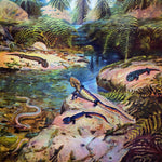 Sclerocephalus haeuseri Raublurch aus dem Perm