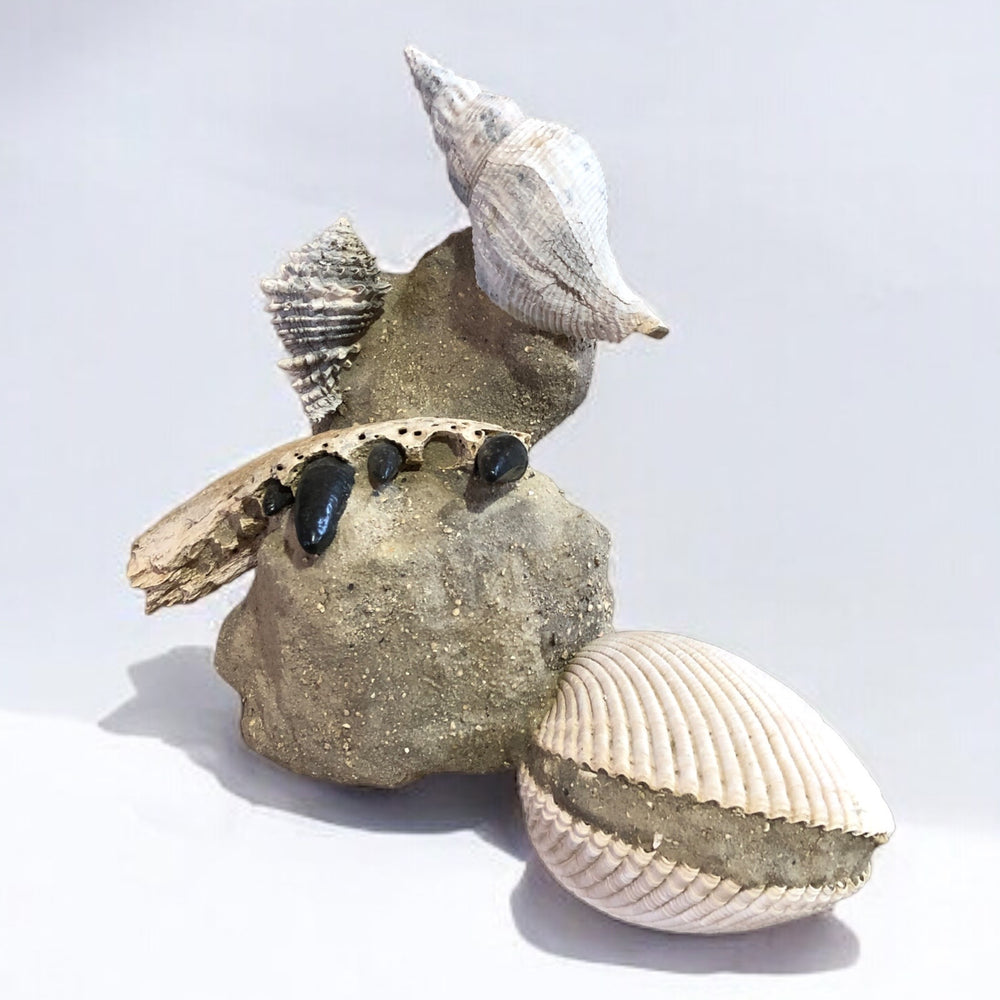 Skulptur Alligartor und Muschel aus dem Pleistozän / USA