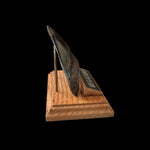 Zahn Megalodon Riesenhai aus dem Pliozän