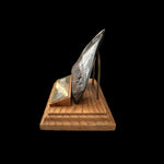 Zahn Megalodon Riesenhai aus dem Pliozän