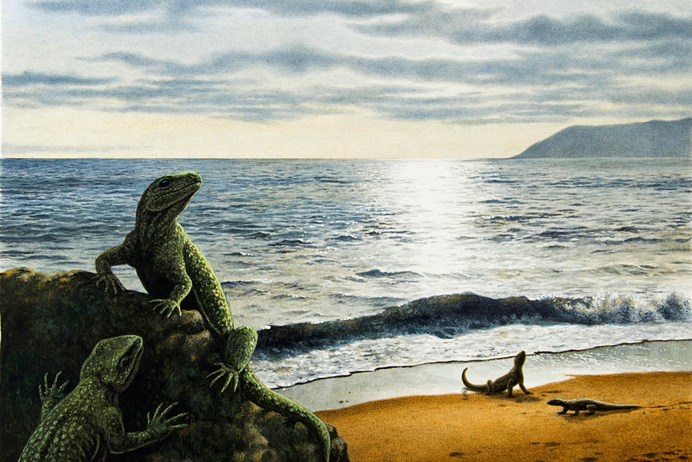 Barasaurus besairiei aus dem Perm