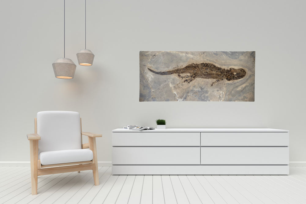 Sclerocephalus haeuseri Raublurch aus dem Perm