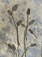 Seelilie Encrinus liliiformis aus dem Trias
